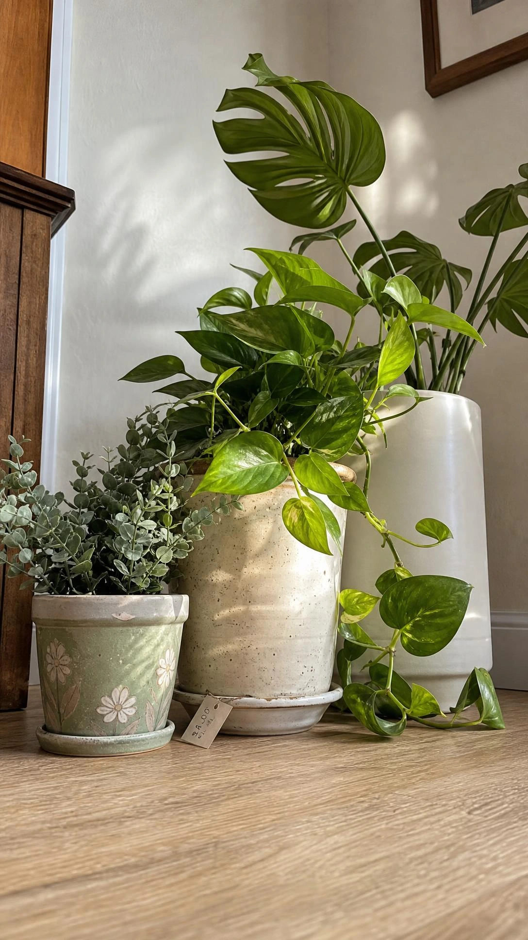 Thrifted plant pots with faux greenery clustered in a warm home corner, showing how budget DIY decor can look elevated and intentional