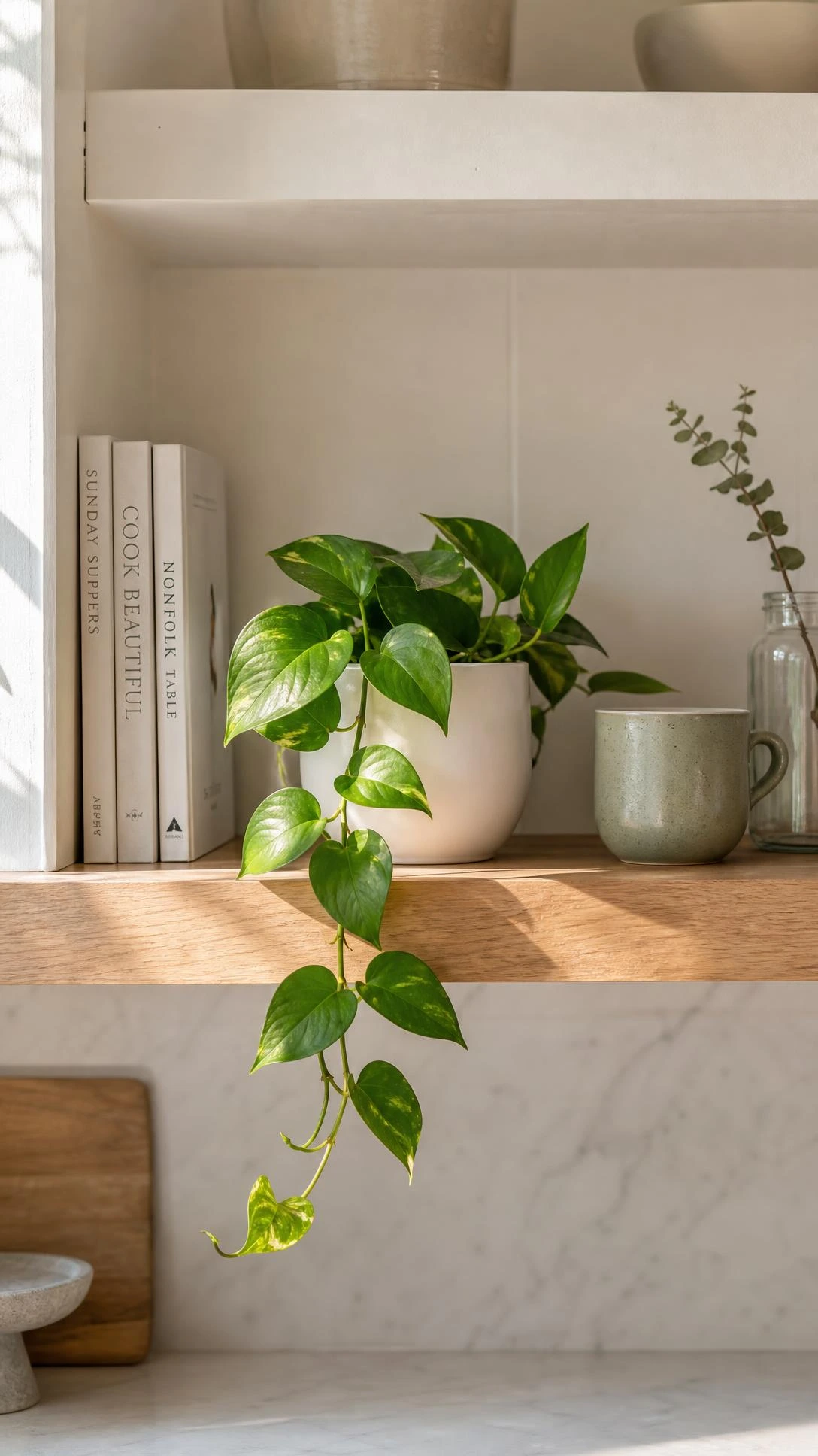 A small trailing pothos in a matte white ceramic pot on a light oak kitchen shelf, styled with intentional restraint to show how one plant elevates kitchen shelves decor