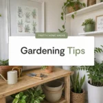Gardening Tips