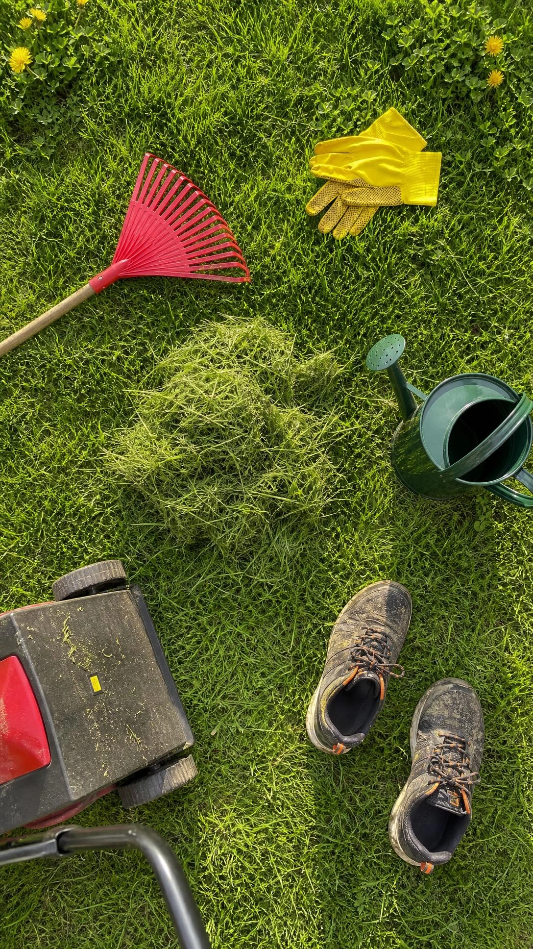 Overhead view of bright green backyard lawn with a red plastic rake and small gardening gloves laid out on the grass, ready for kid helpers