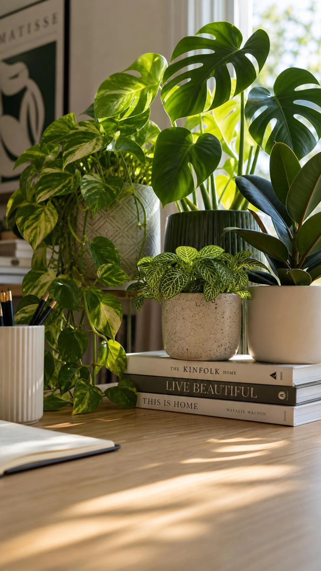 Clustered potted plants on a light oak home office desk photographed from desk level, green foliage rising dramatically against soft natural window light to boost workspace freshness