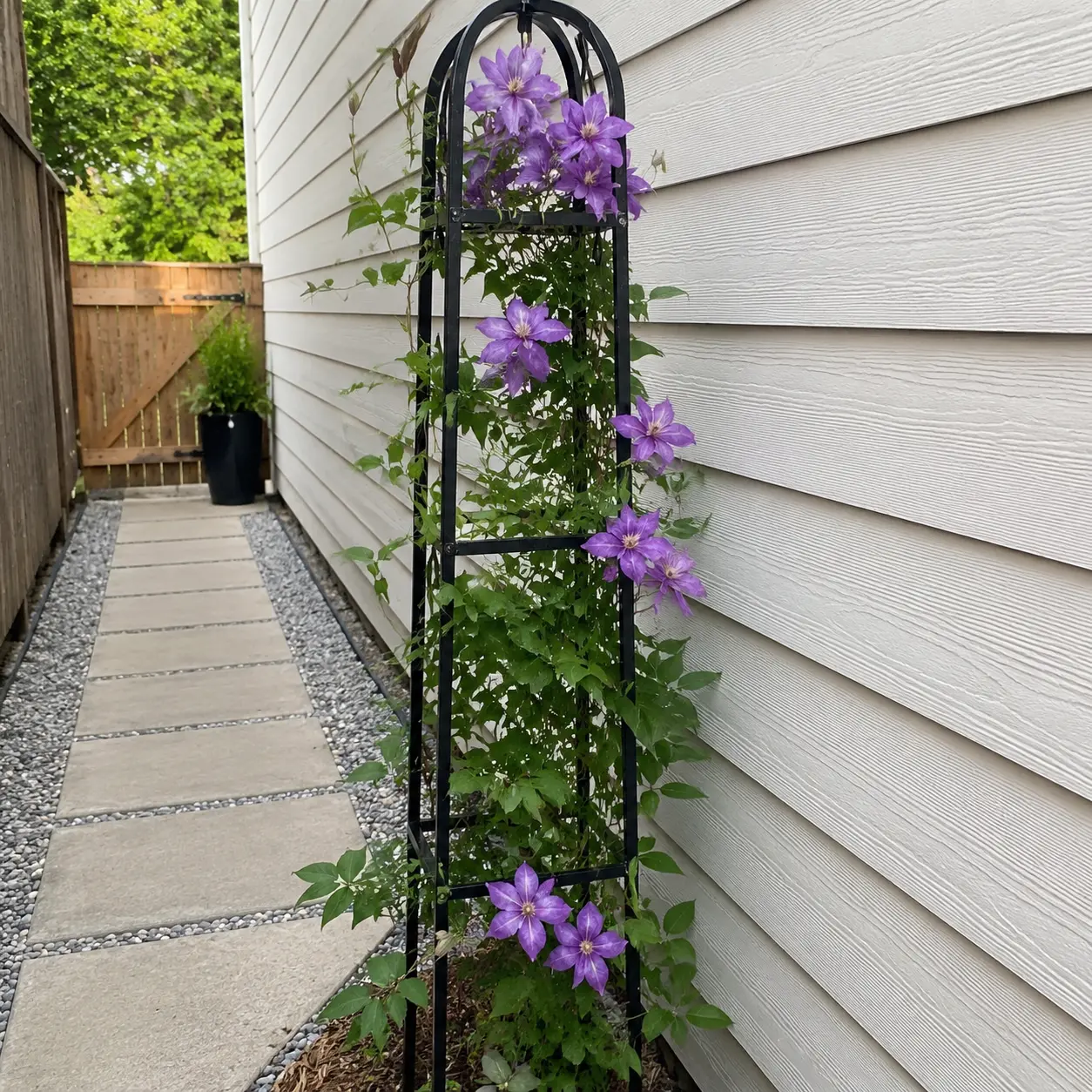Slim trellis with flowering climbing plants beside a house